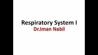 Histology Respiratory System  Part 1 Second Year  Dr Iman Nabil [upl. by Isak]