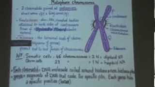 4 DrGihan Cytogenetics 16112013 [upl. by Laeira784]