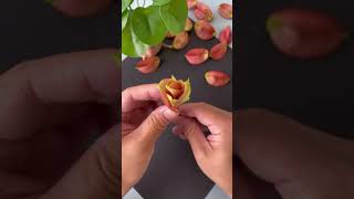 You can also make beautiful roses with the fruit of the tree Try it now Handmade DIY natural [upl. by Abernon676]