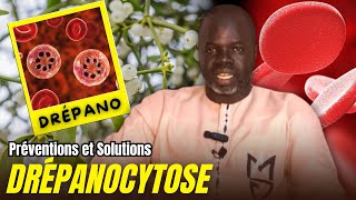 Drépanocytose P02  Prévention et Solutions   Pr Ousmane Ndiaye  LansarrTV [upl. by Orford]