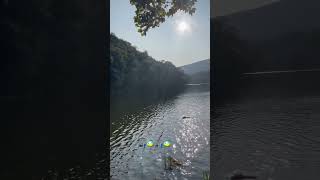 Beautiful Beaverkill River NY shorts reels fyp viralvideo [upl. by Kurth816]