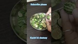 Rajhar ki mashoor kachri ki chutney recipe rajasthanstyle trending shorts chutneylovers tasty [upl. by Aisha]