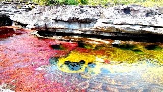 100 fotografías de algunos de los lugares más bellos de Colombia [upl. by Aguie727]