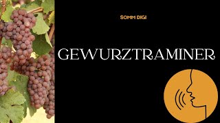 Gewurztraminer Pronunciation How to Pronounce gewurztraminer pronunciation [upl. by Eelatsyrc525]