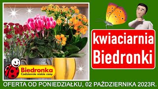 BIEDRONKA  Oferta Promocyjna od Poniedziałku 02102023  Kwiaciarnia Biedronki  Tanie Kwiaty [upl. by Mou]