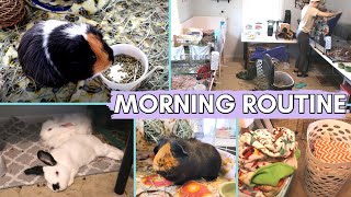 My Day Off With My Guinea Pigs  Guinea Pig Morning Routine  Cage Cleaning [upl. by Anatnom]