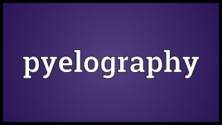 Pyelography Meaning [upl. by Nevarc]