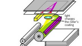 How Photocopiers Work [upl. by Aiciled]