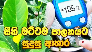 සීනි මට්ටම පාලනයට සුදුසු ආහාර arthritis sinhalaayurveda arthritiscure ayurveda [upl. by Barboza132]