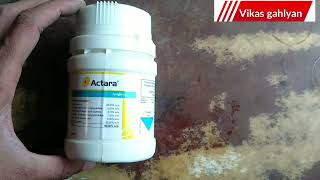 syngenta actara  thiamethoxam 25 WG  actara  full detail  actara insecticide [upl. by Eislek482]