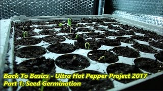 Back To Basics  Ultra Hot Pepper Project  2017 Part 1  Seed Germination [upl. by Ettolrahs]