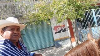 así llega la cabalgata a la parroquia de San Bernardo gracias por la envitacion [upl. by Michelina]