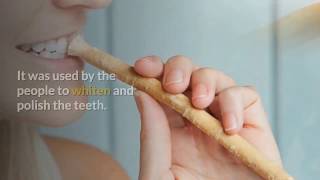 10 Scientifically Proved Benefits of Miswak  Miswak Tree [upl. by Naeroled]