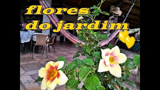 Tour no jardim com as flores de setembro 2024 [upl. by Macdonald805]