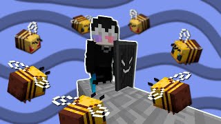 Die Macht des BIENEN KIT in Minecraft Skywars [upl. by Hasty]