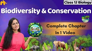 Biodiversity and Conservation Class 12 Biology One shot  CBSE NEET  NCERT Chapter [upl. by Mattox685]