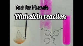 Phthalein reaction  test for phenols [upl. by Alegre]