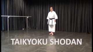 Kata Taikyoku Shodan  Online Karate tutorial [upl. by Nosimaj91]