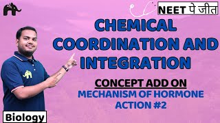 Chemical Coordination and Integration Class 11 Biology NEET  NCERT Chapter 19  Hormone action 2 [upl. by Juna]