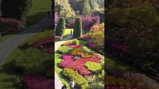 The Butchart Gardens in Canada [upl. by Cosenza]