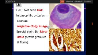 Lecture 3 Histology  Endoplasmic reticulum Golgi apparatus✨ [upl. by Vtehsta]