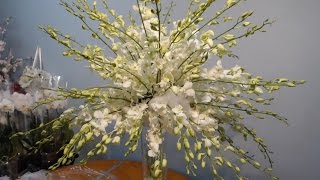 How to Create A Dendrobium Orchid Tree Arrangement [upl. by Nicoli]