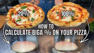 In Depth Understanding Biga  For Pizza Dough [upl. by Nyvets]