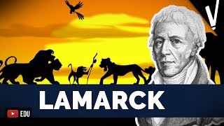 LAMARCK O PIONEIRO DA EVOLUÇÃO│ Ciências da Natureza [upl. by Ahsitan]