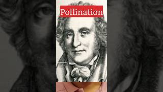 Pollination biologywalesir pollination male gamete female stigma pollen grain plants [upl. by Ellecrag]