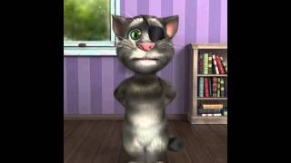 Talking Tom instructions guide [upl. by Leahey]