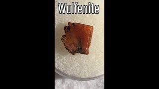 The Rare State Mineral of Arizona Wulfenite [upl. by Rovaert]