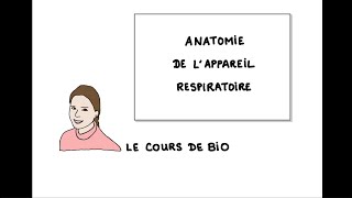 Anatomie de l’appareil respiratoire [upl. by Skcirdnek]