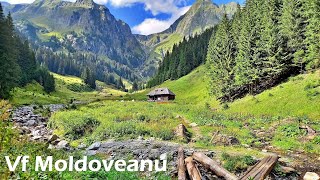 Vf Moldoveanu de la Stana lui Burnei cel mai scurt traseu 2544m [upl. by Ahtis785]