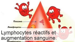 Lymphocytes réactifs  mécanisme et causes dapparition caractéristiques de la pathologie [upl. by Nylaras]