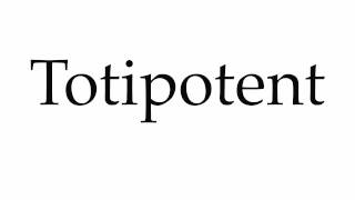 How to Pronounce Totipotent [upl. by Reitman]