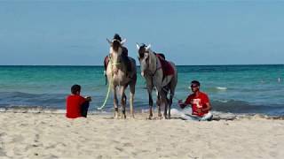 Hotel Sentido Djerba Beach Tunisko 2019 [upl. by Henri]