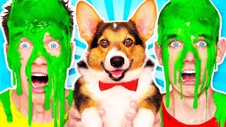 Dogs Pick our Mystery Slime Challenge 2 amp How to Make the Best Funny DIY Orbeez Switch Up Game [upl. by Atikaj]