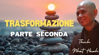 Trasformazione Parte Seconda  Thich Nhat Hanh [upl. by Tommy]