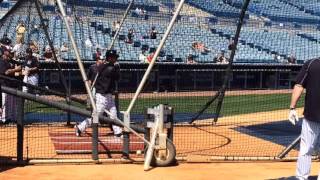 Yankees Rob Refsnyder takes batting practice [upl. by Lachus]