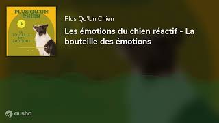 Les émotions du chien réactif  La bouteille des émotions [upl. by Muirhead924]