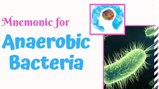 Anaerobic Bacteria Mnemonic for USMLE Step 1  MedSurvival [upl. by Croom]