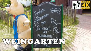 💥 Wien Weingarten Donaustadt Vienna Walking Tour 4k 60fps [upl. by Laws]