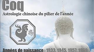 Prévisions 2019  Natifs Coq  Astrologie chinoise [upl. by Ely]