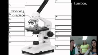 Microscope Parts Function and Care [upl. by Yauqram599]