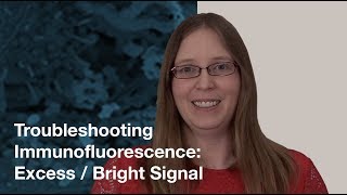 Troubleshooting Immunofluorescence Excess Bright Signal  CST Tech Tips [upl. by Nohsed]