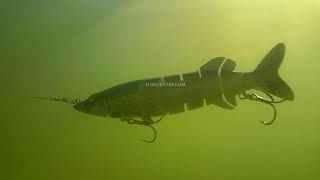 8 Inch Pike Fishing Lure  By LureCentercom [upl. by Dleifyar954]