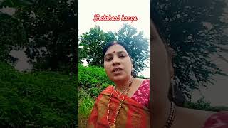 Shetakari kanyamarathi video varsha [upl. by Abehsat741]