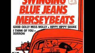 Swinging Blue Jeans  Youre No Good [upl. by Pauly]