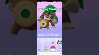 Pokémon GO Evolving My Thwackey To Rillaboom galarrillaboompokemongo galarstarter [upl. by Woodall656]