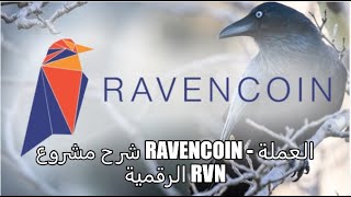 شرح مشروع Ravencoin  العملة الرقمية RVN [upl. by Nomahs]